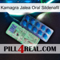 Kamagra Oral Jelly Sildenafil new02